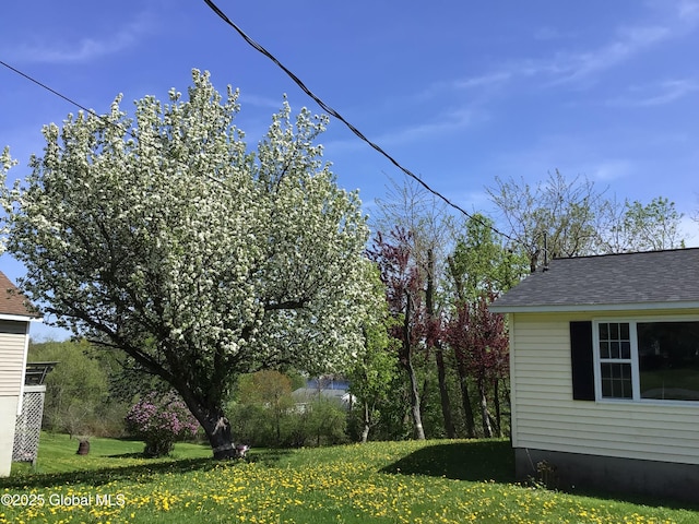 126 Hillside Rd, Duanesburg, NY 12137 - view of green lawn