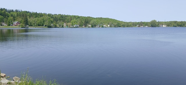 126 Hillside Rd, Duanesburg, NY 12137 - water view with a heavily wooded area