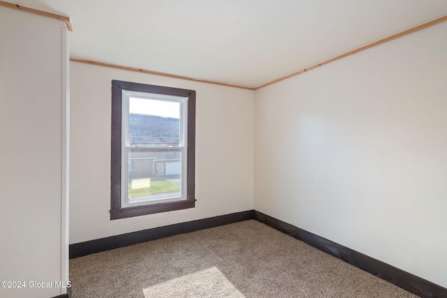 285 Main St, Worcester, NY 12197 - carpeted empty room featuring baseboards