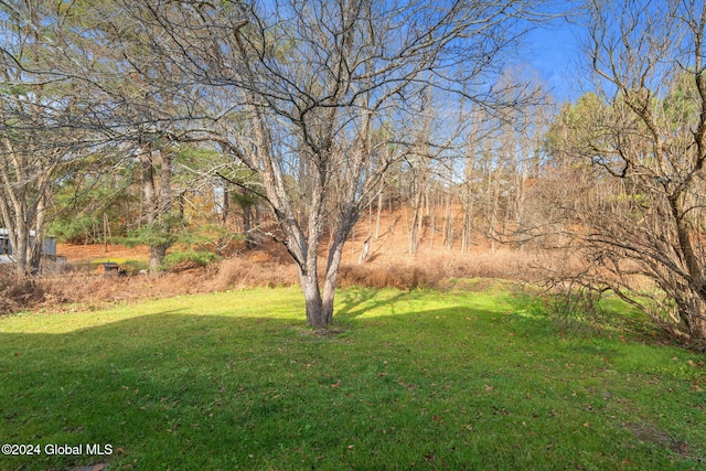 285 Main St, Worcester, NY 12197 - view of grassy yard