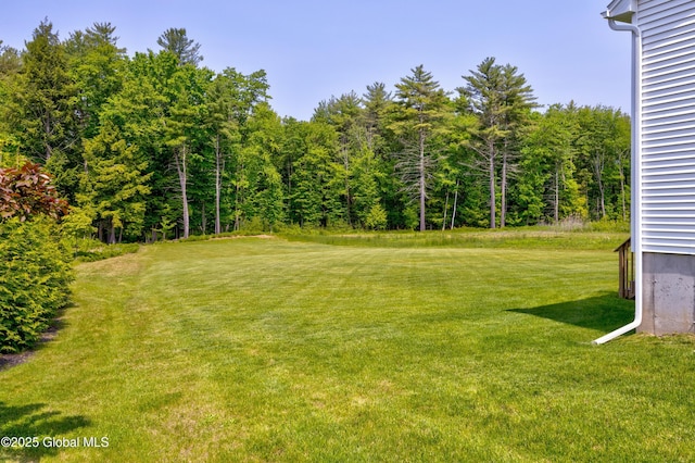 39 Berkeley Way, Wilton, NY 12866 - view of green lawn with a forest view