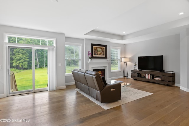 39 Berkeley Way, Wilton, NY 12866 - living area featuring a fireplace, hardwood / wood-style floors, a raised ceiling, and recessed lighting