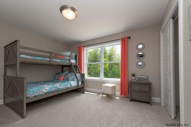 5 Hunter Ct, Milton, NY 12020 - bedroom featuring light colored carpet and baseboards