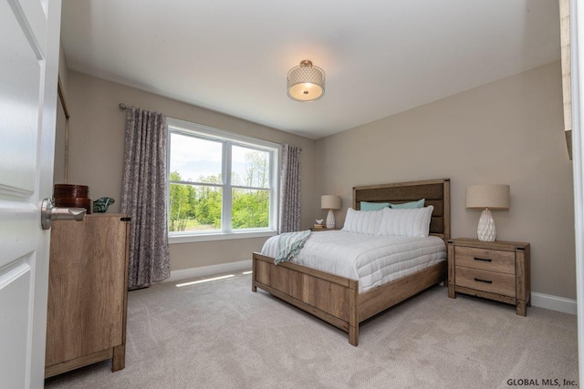 5 Hunter Ct, Milton, NY 12020 - bedroom with baseboards and light carpet