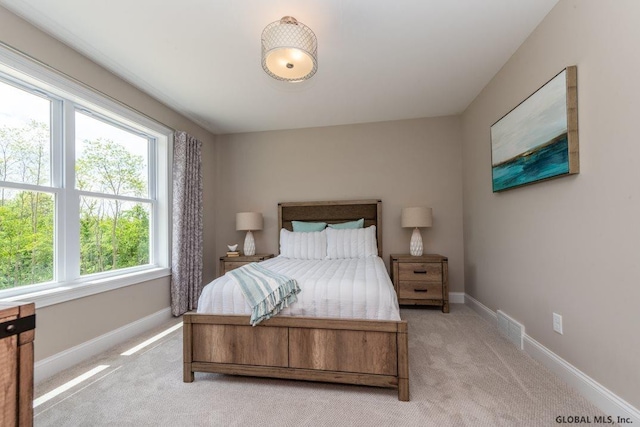 5 Hunter Ct, Milton, NY 12020 - bedroom with light carpet and baseboards
