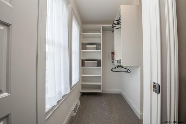 5 Hunter Ct, Milton, NY 12020 - spacious closet with dark carpet