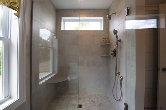 5 Hunter Ct, Milton, NY 12020 - full bathroom with tiled shower and toilet