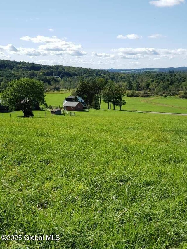 698 Nick Mush Rd, Hoosick, NY 12028 - photo 59