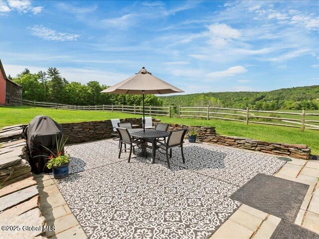 698 Nick Mush Rd, Hoosick, NY 12028 - photo 9