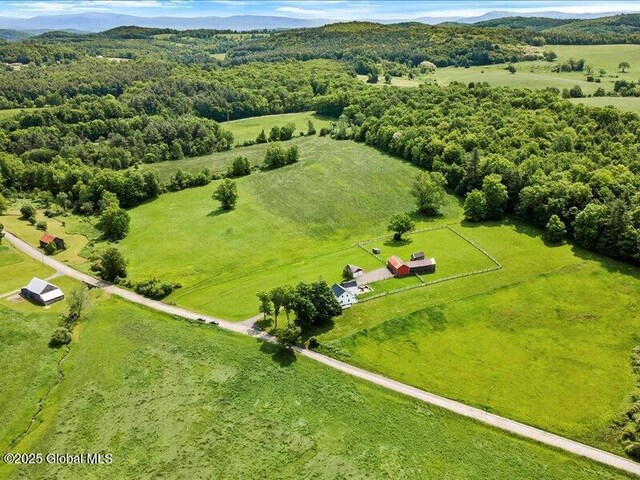 698 Nick Mush Rd, Hoosick, NY 12028 - photo 55