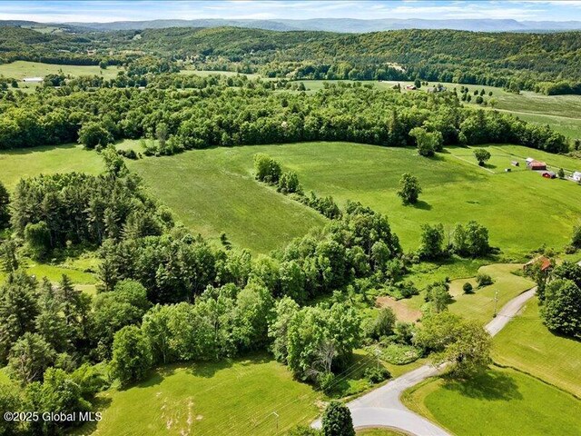 698 Nick Mush Rd, Hoosick, NY 12028 - photo 56