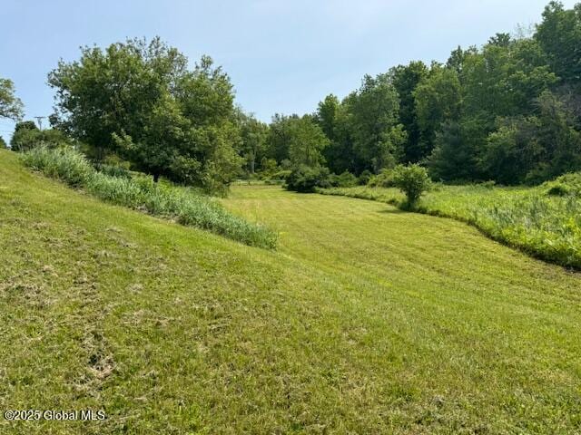698 Nick Mush Rd, Hoosick, NY 12028 - photo 51