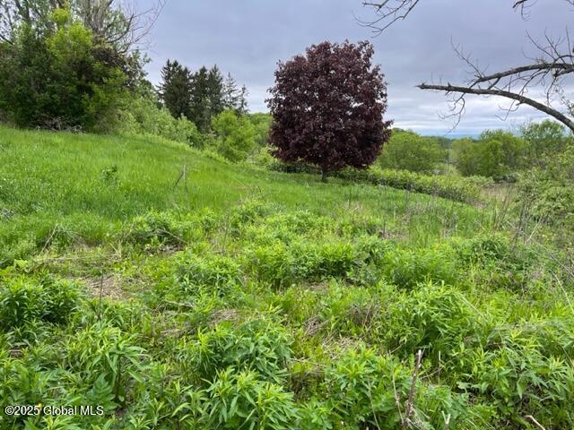 2429 Highway Route 20, Carlisle, NY 12031 - photo 5