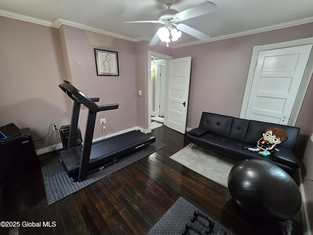 1117 Mcclellan St, Schenectady, NY 12309 - exercise area with wood finished floors, a ceiling fan, baseboards, and ornamental molding