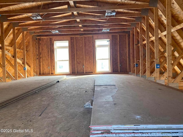 1117 Mcclellan St, Schenectady, NY 12309 - unfinished attic featuring healthy amount of natural light