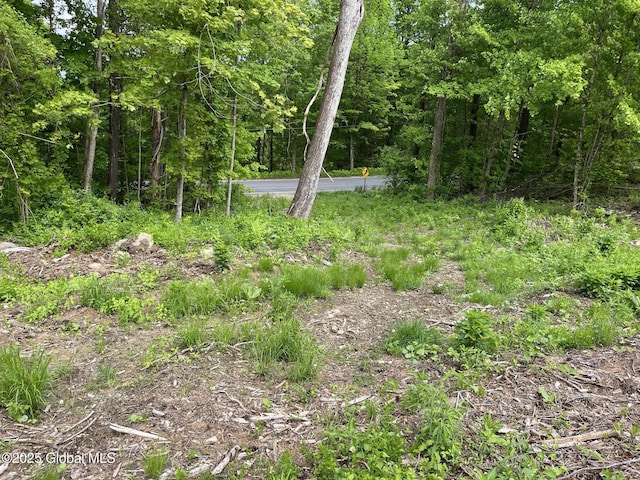 L4.3 Tripoli Rd, Kingsbury, NY 12839