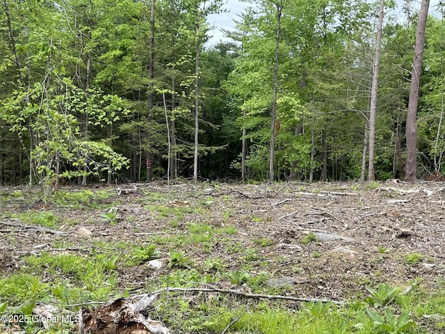 L4.3 Tripoli Rd, Kingsbury, NY 12839