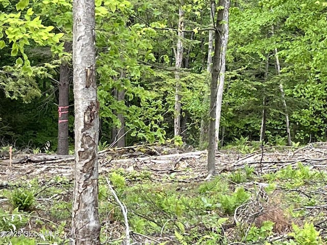 L4.3 Tripoli Rd, Kingsbury, NY 12839