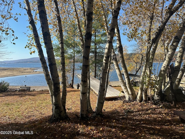 12 Birch Pl, Day, NY 12835 - water view