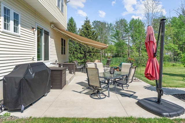 11 Lucille Ln, Malta, NY 12019 - view of patio with outdoor dining space and area for grilling