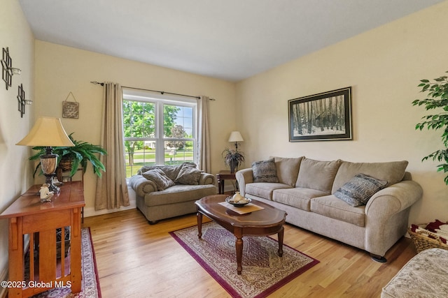 11 Lucille Ln, Malta, NY 12019 - living room featuring light wood-style flooring