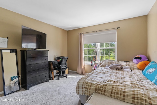 11 Lucille Ln, Malta, NY 12019 - carpeted bedroom with a desk