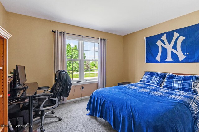 11 Lucille Ln, Malta, NY 12019 - bedroom featuring carpet, baseboards, and a desk