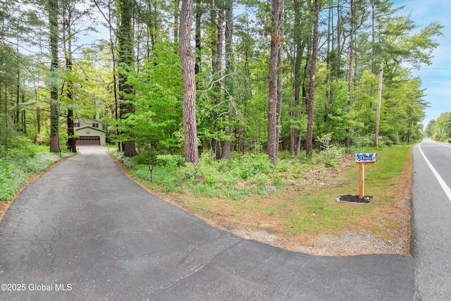 124 Edie Rd, Wilton, NY 12866 - view of asphalt driveway