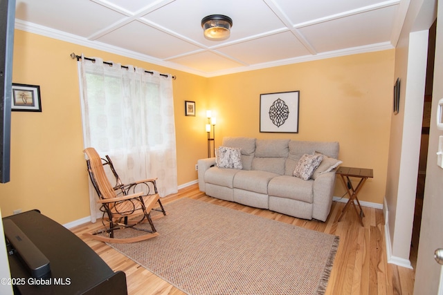 124 Edie Rd, Wilton, NY 12866 - living room featuring light wood-style flooring, crown molding, and coffered ceiling