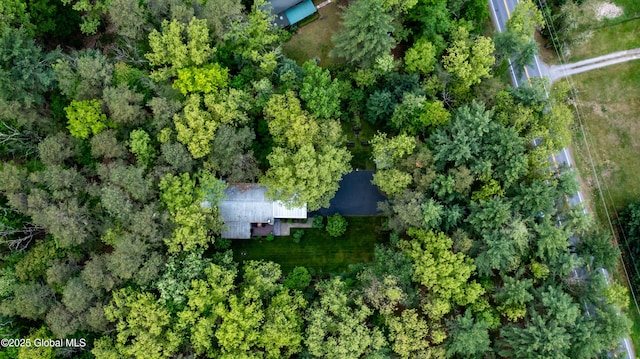 124 Edie Rd, Wilton, NY 12866 - aerial view of property's location