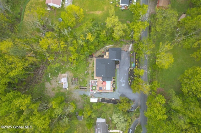 14 Calvin Cole Rd, Stephentown, NY 12169 - bird's eye view
