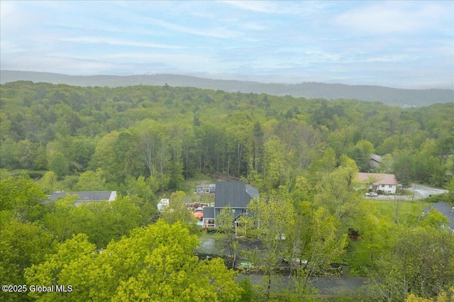 14 Calvin Cole Rd, Stephentown, NY 12169 - aerial view of a forest