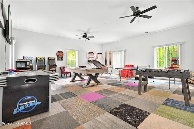 14 Calvin Cole Rd, Stephentown, NY 12169 - recreation room featuring plenty of natural light and ceiling fan