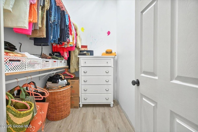 14 Calvin Cole Rd, Stephentown, NY 12169 - walk in closet with light wood-style flooring