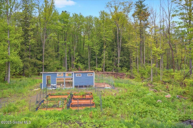 14 Calvin Cole Rd, Stephentown, NY 12169 - view of yard featuring a forest view, a vegetable garden, an outbuilding, and exterior structure