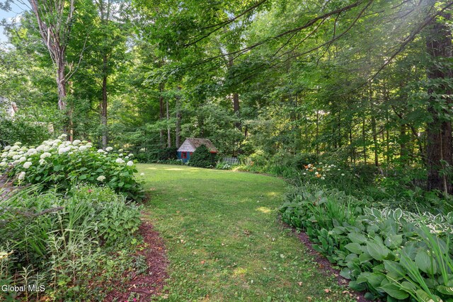 9 Longwood Dr, Saratoga Springs, Inside, NY 12866 - view of grassy yard featuring a wooded view