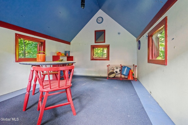 9 Longwood Dr, Saratoga Springs, Inside, NY 12866 - recreation room featuring vaulted ceiling and carpet flooring