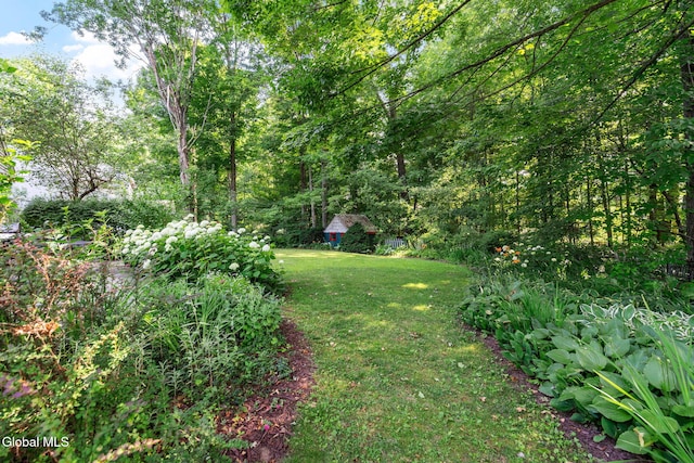 9 Longwood Dr, Saratoga Springs, Inside, NY 12866 - view of grassy yard featuring a view of trees
