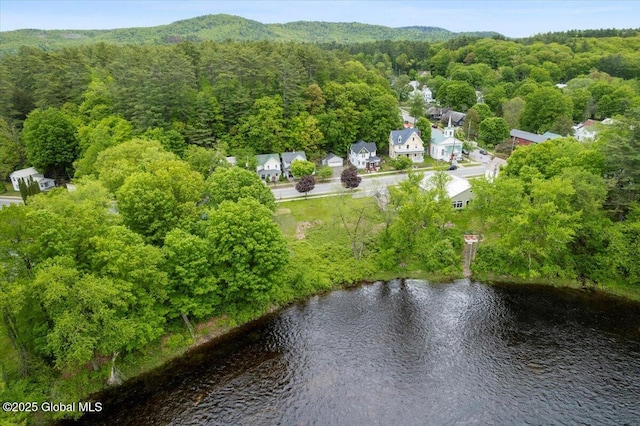 32 Main St, Lake Luzerne, NY 12846 - aerial view of property's location with a forest and a nearby body of water
