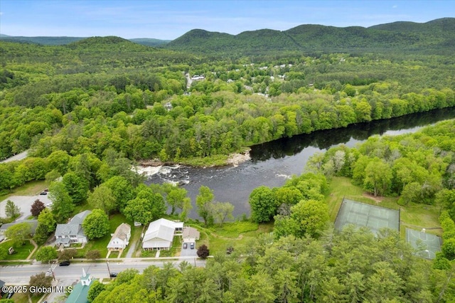 32 Main St, Lake Luzerne, NY 12846 - aerial view of a forest and a water and mountain view