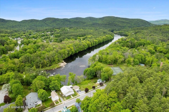 32 Main St, Lake Luzerne, NY 12846 - aerial view of a water and mountain view and a heavily wooded area