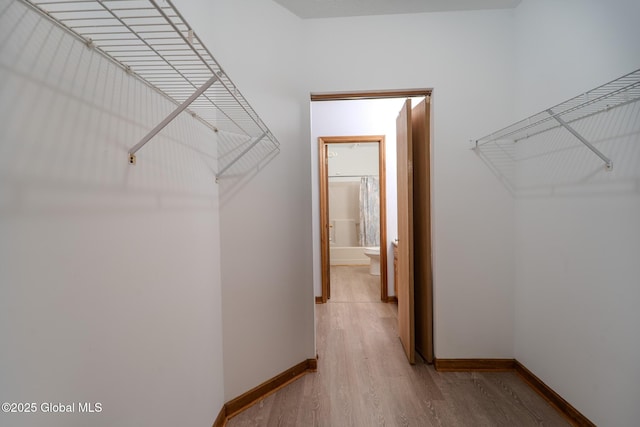 1976 Curry Rd Unit E-136, Schenectady, NY 12303 - walk in closet featuring light wood-type flooring