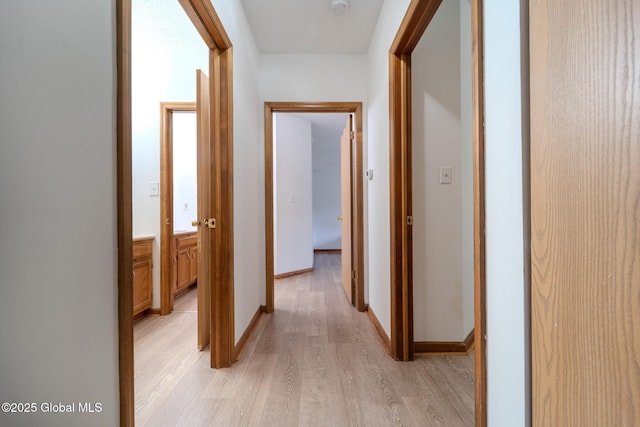 1976 Curry Rd Unit E-136, Schenectady, NY 12303 - hall with light wood-style floors and baseboards