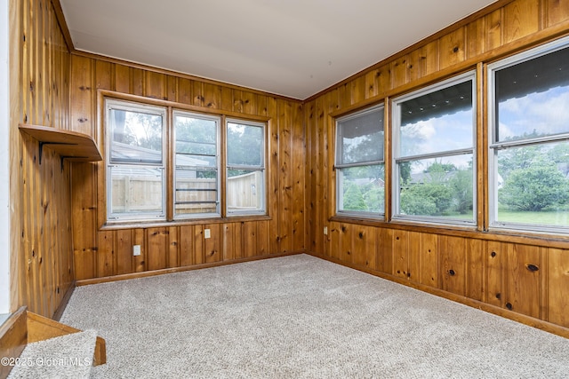 2044 Caldicott Rd, Rotterdam, NY 12303 - unfurnished room with carpet, wooden walls, and baseboards