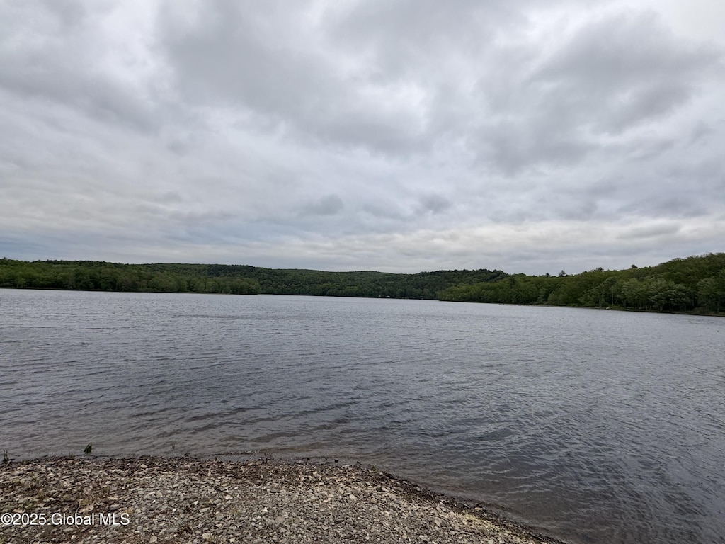L15.22 Mcgill Rd, Nassau, NY 12062 - photo 3