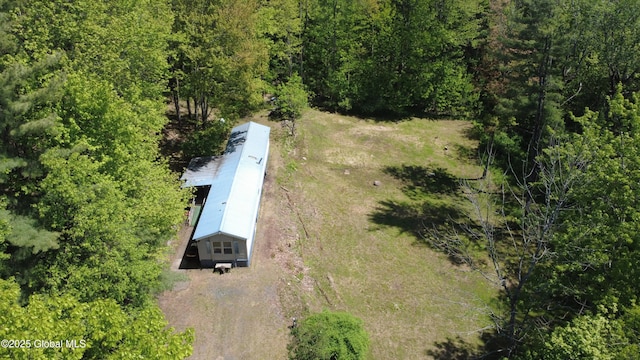 362 Beech St, Mayfield, NY 12117 - view of subject property with a heavily wooded area