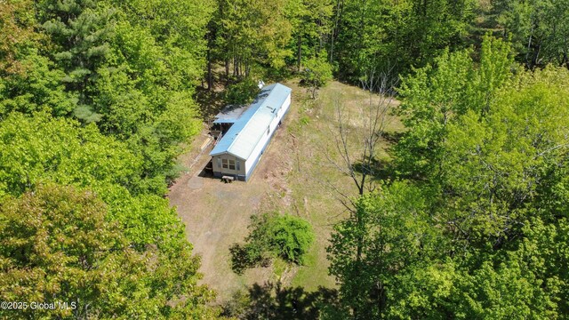 362 Beech St, Mayfield, NY 12117 - view of subject property featuring a heavily wooded area