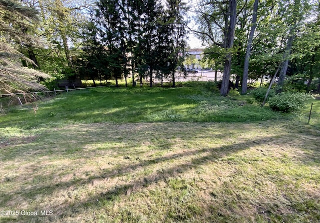 6 Kenyon Dr, Colonie, NY 12205 - view of grassy yard