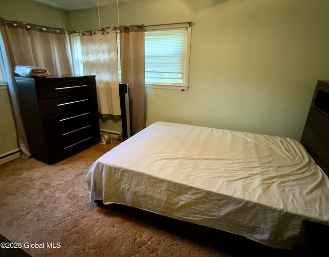 6 Kenyon Dr, Colonie, NY 12205 - view of carpeted bedroom