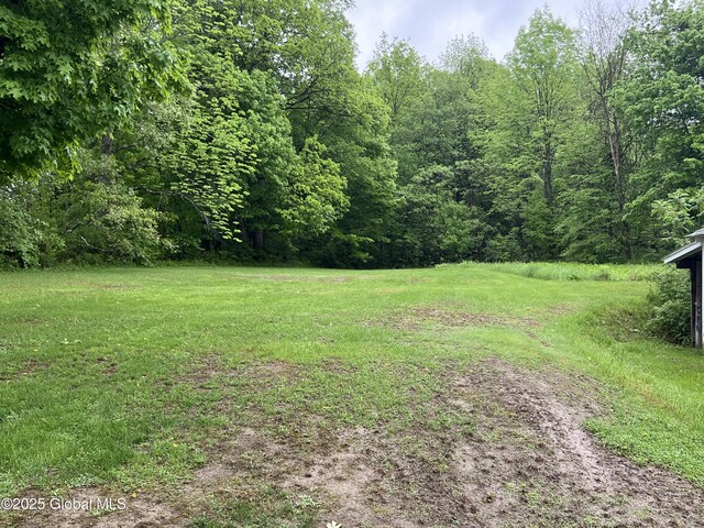 3778 County Rte 21, Whitehall, NY 12887 - view of grassy yard featuring a wooded view
